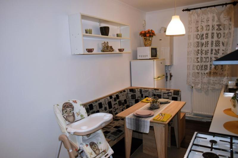 Făgăraş Apartament Thea 아파트 외부 사진