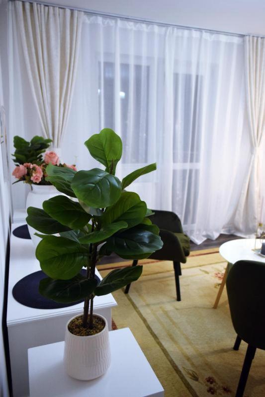 Făgăraş Apartament Thea 아파트 외부 사진