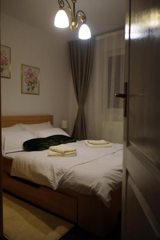 Făgăraş Apartament Thea 아파트 외부 사진