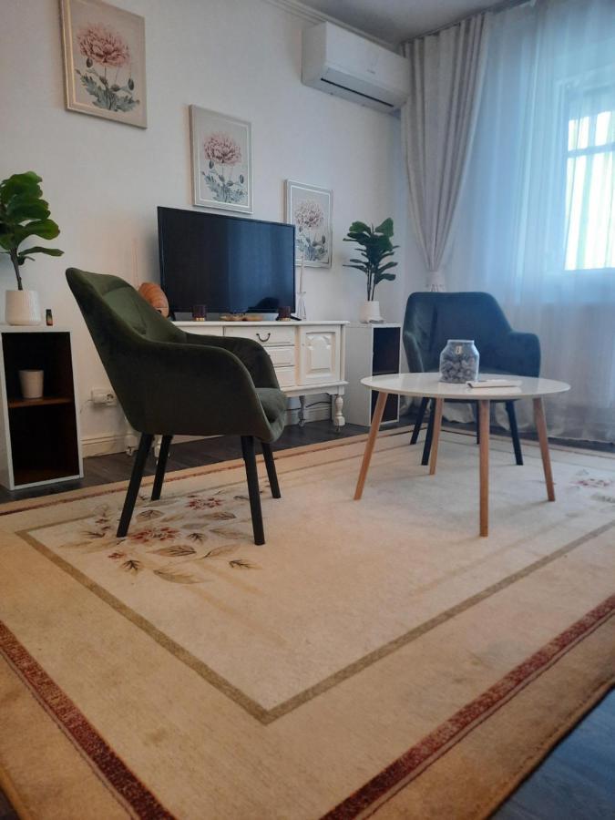 Făgăraş Apartament Thea 아파트 외부 사진